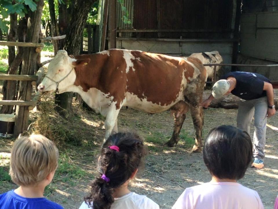 Agriturismo Da Baffone Santo Stefano del Sole 外观 照片